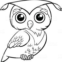 Sublime Cute Owls Coloring Pages Home Owl Cartoon Printable Graduation Animal Clip Kids Illustrations