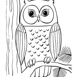 Cute Owl Coloring Pages Home Colouring Tree Popular Library