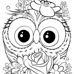 Preeminent Printable Owl Coloring Pages Word Searches