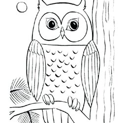 Worthy Cute Baby Owl Coloring Pages At Free Printable Drawing Cool Flying Colouring Color Owls Sheet Kids