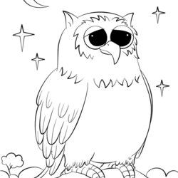 Cute Owls Coloring Pages Home Owl Cartoon Printable Comments