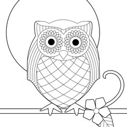 Capital Printable Coloring Pages Of An Owl Cute Print Colouring Kiddos Patterns Stencils Pattern Owls