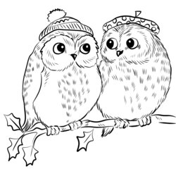 Exceptional Cute Owls Coloring Pages Home Owl Couple Drawing Easy Adults Realistic Print Girls Printable