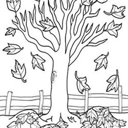 Superlative Free Easy To Print Tree Coloring Pages Handle Wither