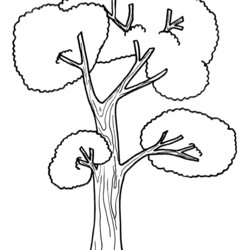 Champion Tree Coloring Page Pages Printing Animal Printable Print Help Picture