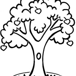Sublime Kids Coloring Pages Trees Home Tree Popular