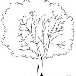 Free Printable Tree Coloring Pages For Kids Page