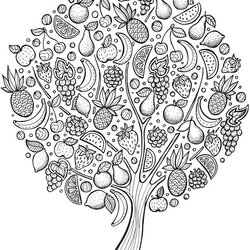 Trees Coloring Books Dover Publications Zen Pages