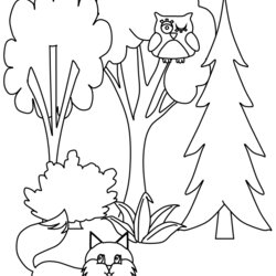 Capital Trees Coloring Pages Page Book For Kids Print Printable Easily Advertisement Related