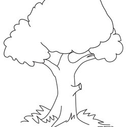 Smashing Free Printable Tree Coloring Pages For Kids Trees Colouring