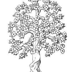 Superior Free Printable Tree Coloring Pages For Kids