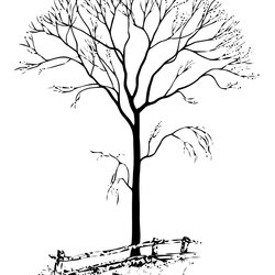 Very Good Free Printable Tree Coloring Pages For Kids Without Leaves Page