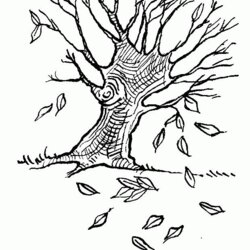 Coloring Page Of Trees Home