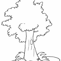 Great Tree Coloring Page Pages Print Trees Book Nature Templates Com