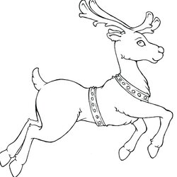 Santa And Reindeer Coloring Pages At Free Printable Christmas Flying Rudolph Deer Nosed Drawing Template Kids