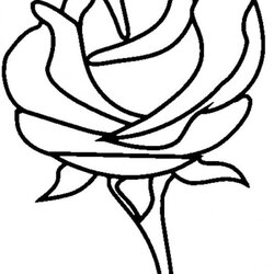 Brilliant Free Printable Roses Coloring Pages For Kids Rose Color