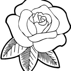 Fine Rose Coloring Pages