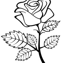 Out Of This World Free Printable Roses Coloring Pages For Kids