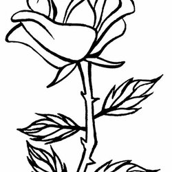 Magnificent Printable Rose Coloring Pages For Kids