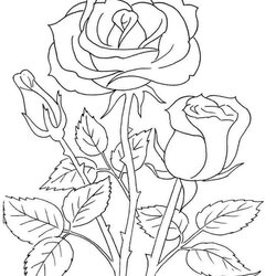 Outstanding Rose Coloring Pages Download And Print Flowers Flower Color Printable Drawing Books Tattoo Kids