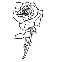 Terrific Free Printable Roses Coloring Pages For Kids Rose Flowers Colouring Bud Page