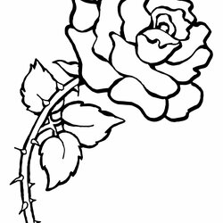 Superior Free Printable Roses Coloring Pages For Kids Rose To Print