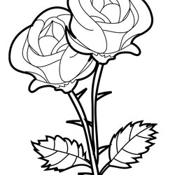 Peerless Free Printable Roses Coloring Pages For Kids Rose Page