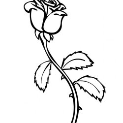 Wizard Free Printable Roses Coloring Pages For Kids Rose