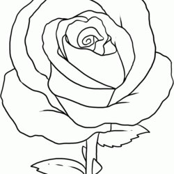 Marvelous Coloring Pages Rose Home Flower Beautiful Pretty Print Kids Attractive Drawings Comments Craft