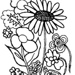 Various Type Of Flower Plants Coloring Page Sky Kids Sheet