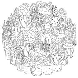 Houseplants Coloring Pages Free Printable Of Plants For Cactus