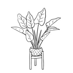 Smashing Houseplants Coloring Pages Free Printable Of Plants For Plant Lovers