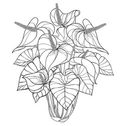 Splendid Houseplants Coloring Pages Free Printable Of Plants For Tropical Vector Isolated
