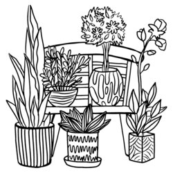 How Plants Grow Coloring Pages Home