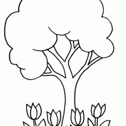 Swell Plants Coloring Pages Printable Home Plant Tree Flowers Colouring Kids Desert Template Animals Flower