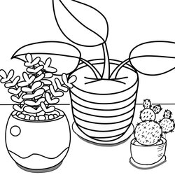 Outstanding Coloring Pages Of Plants Home Design Ideas Plant Sq