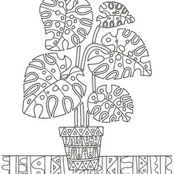 Wonderful How Plants Grow Coloring Pages Home