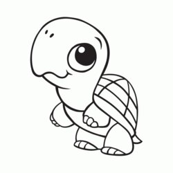 Marvelous Really Cute Coloring Pages Home Animal Animals Baby Turtle Cartoon Kids Printable Colouring Jungle