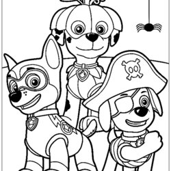 The Highest Standard Pat Halloween Paw Patrol Kids Coloring Pages Print Skye Printable Para For