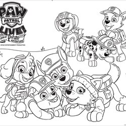 Wonderful Paw Patrol Coloring Page Para Pages Printable Kids Salvo