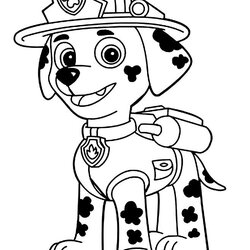 Splendid Paw Patrol Coloring Pages Best For Kids