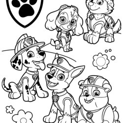 Paw Patrol Coloring Pages Printable Print Color Craft Pups All Page