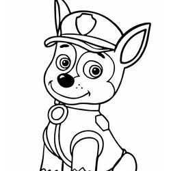 Paw Patrol Coloring Pages Pictures Free Printable Puppy Performing Smartest Spy Bravest Officer Function