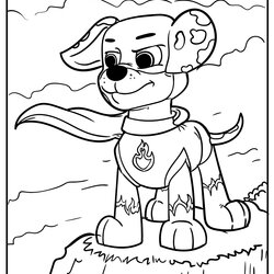 Paw Patrol Coloring Pages Updated Pop