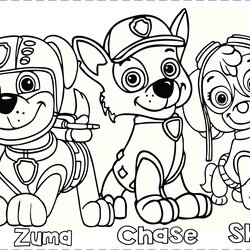 Brilliant Paw Patrol Coloring Pages Kids Print Skye Worksheets Chase