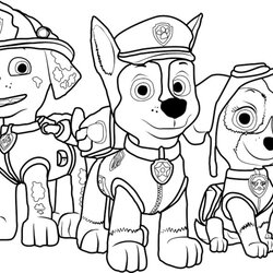 Paw Patrol Coloring Book Bundle Kids Pages