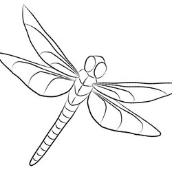 Capital Dragonfly Coloring Pages Free Printable Kids Color Print