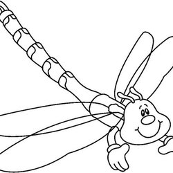 Superior Dragonfly Coloring Pages Printable Color Dragonflies Animal Adults Print Bug Book Insect Prints