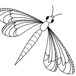 Sterling Dragonfly Coloring Pages Dragon Fly Printable Dragonflies Vector Line Cartoon Clip Drawing Kids