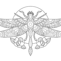Cool Wonderful Dragonfly Coloring Page Free Printable Pages For Kids